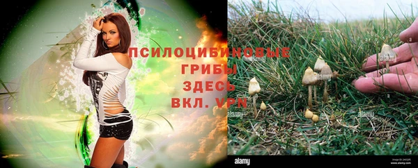 гашик Володарск