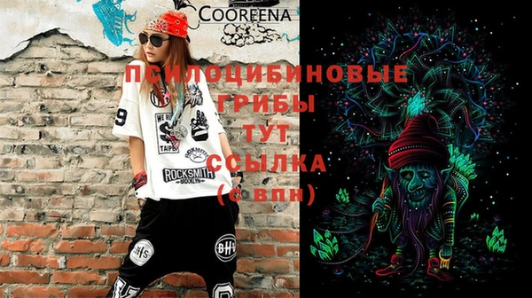 гашик Володарск