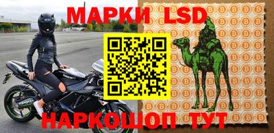 прущие грибы Заводоуковск
