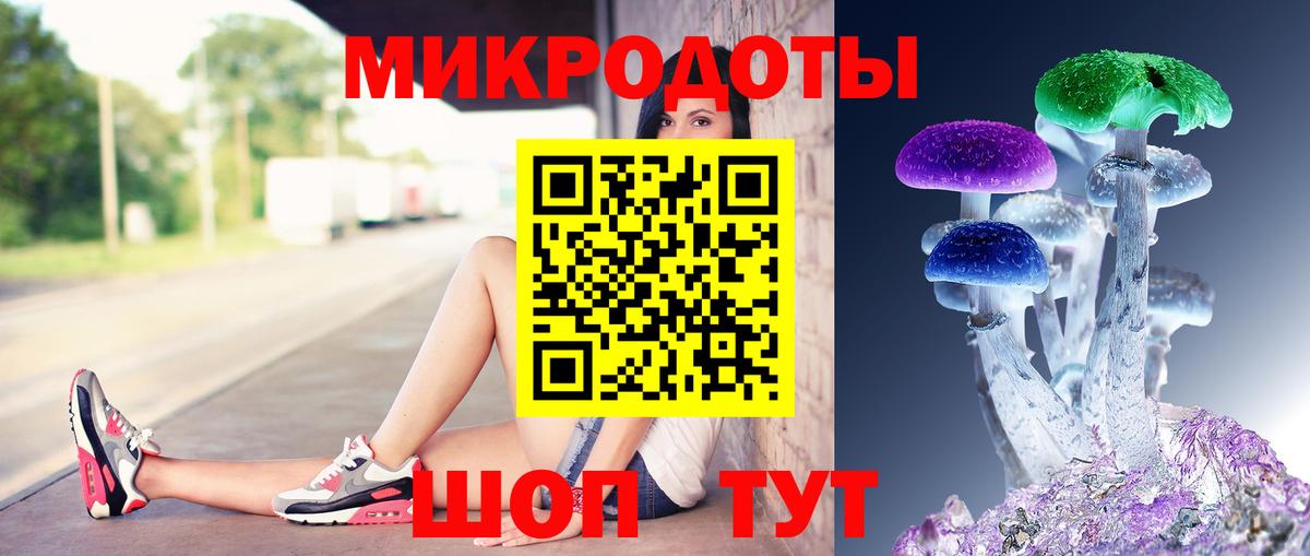 Наро-Фоминск  Псилоцибиновые грибы Psilocybe  Вход с VPN  Псилоцибиновые грибы ЛСД 